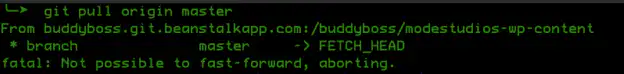 Fix – Fatal: Not possible to fast-forward, aborting